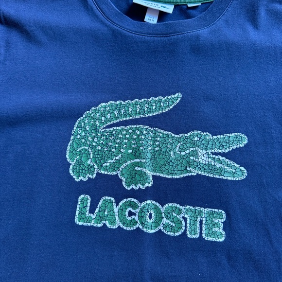 Lacoste t shirt . Medium. - Picture 2 of 5